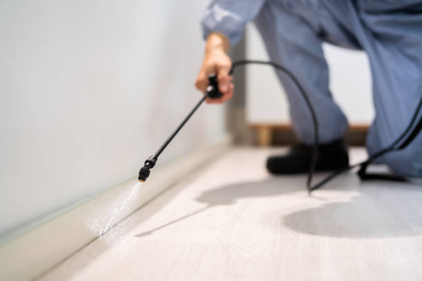 Licensed Cockroach Control service in Crawford County County, IL - Nex Pest Control