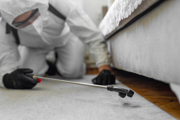 Professional Cockroach Control technician working in Crawford County County, IL